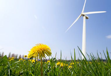 污染治理與修復